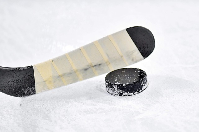 Sådan læser du en ishockey stilling: Guide til begyndere